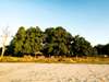 Nsolo Bush Camp - view